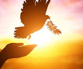 10 Educational Resources for the International Day of Peace
